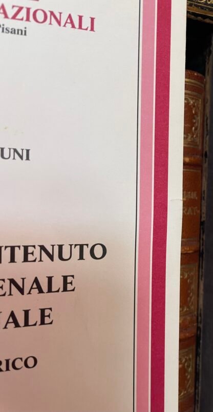 Cherif Bassiouni le fonti e il contenuto del diritto penale internazionale 1999 - immagine 4