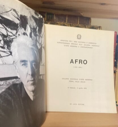 Afro catalogo Galleria Nazionale d'Arte Moderna Roma 1978 - immagine 4