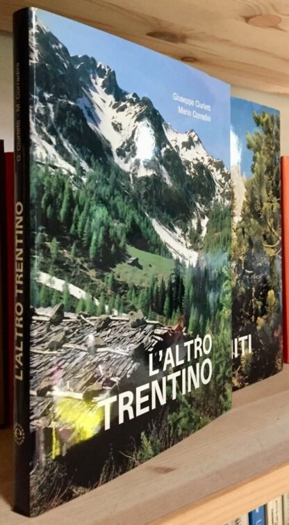 Dario Scarpa Dolomiti - Ciurletti Corradini l'altro Trentino editoria 1986 - immagine 4