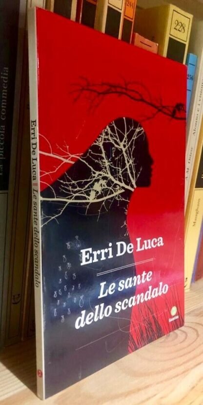 Erri De Luca Le sante dello scandalo Giuntina Editore aprile 2011