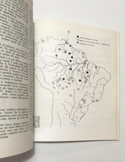 Indios del Brasile culture che scompaiono scritti di antropologia e archeologia - immagine 5