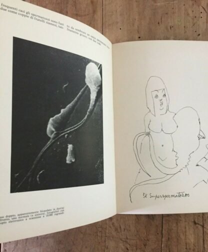 L'indiscreto n.3 Set.1979 Storia naturale dello spermatozoo Baccetti Maccari - immagine 3