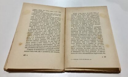 Thomas Cobellis L'arte del miracolo e la teoria del successo Atanòr 1926 - immagine 5