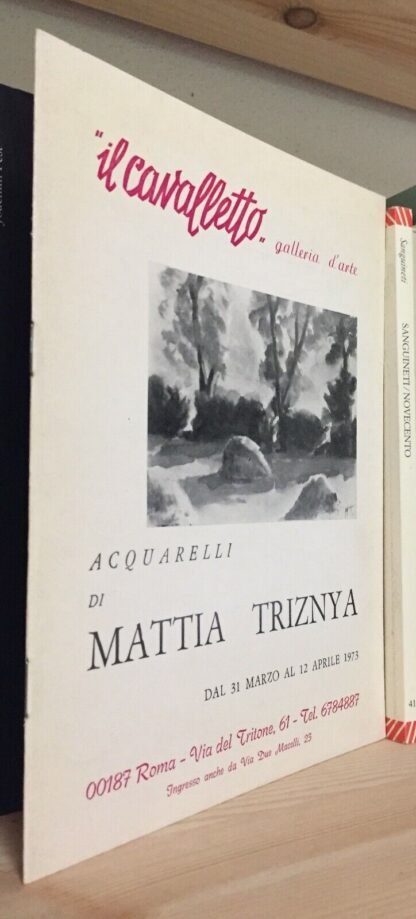 Acquarelli di Mattia Triznya Galleria d'arte il cavalletto 1973