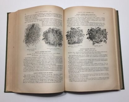 Vilmorin-Andrieux & Cie Les Plantes Potagères troisième édition 1904 - immagine 12