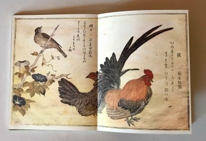 Utamaro Kitagawa A chorus of birds Secker & Warburg 1982 - immagine 10