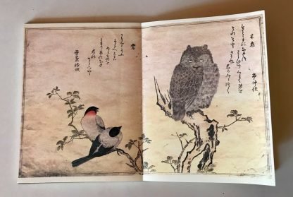 Utamaro Kitagawa A chorus of birds Secker & Warburg 1982 - immagine 12