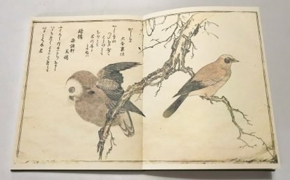 Utamaro Kitagawa A chorus of birds Secker & Warburg 1982 - immagine 7