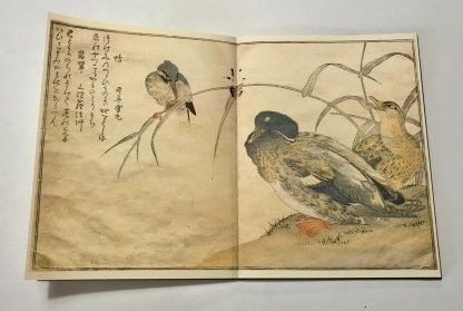 Utamaro Kitagawa A chorus of birds Secker & Warburg 1982 - immagine 8