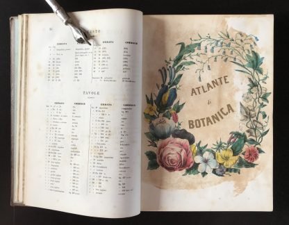 Ambrogio Robiati Atlante elementare di botanica 50 tavole colorate 1847