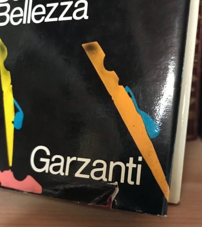 Dario Bellezza Lettere da Sodoma prima edizione Garzanti 1972 - immagine 3