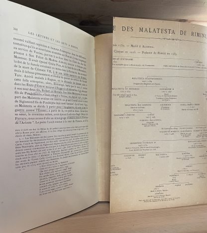 Charles Yriarte Un condottiere au XVe siècle Rimini J. Rothschild 1882 - immagine 14