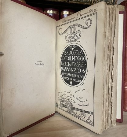 D'Annunzio La fiaccola sotto il moggio prima edizione Treves 1905 quinto migliaio - immagine 5