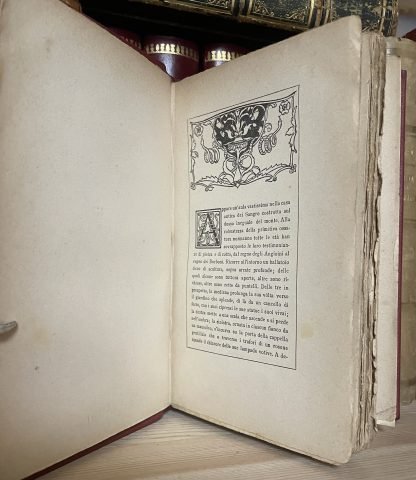 D'Annunzio La fiaccola sotto il moggio prima edizione Treves 1905 quinto migliaio - immagine 8