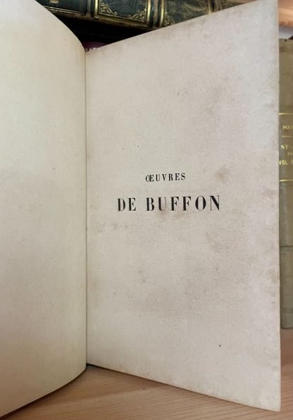 Oeuvres de Buffon Oiseaux par M. Morin Vermot senza data - immagine 5