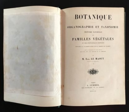 Emmanuel Le Maout Botanique Organographie et Taxonomie Le Curmer 1852 - immagine 4