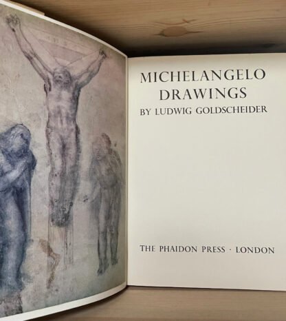 Michelangelo drawings‎ The Phaidon Press 1951 edizione inglese - immagine 6