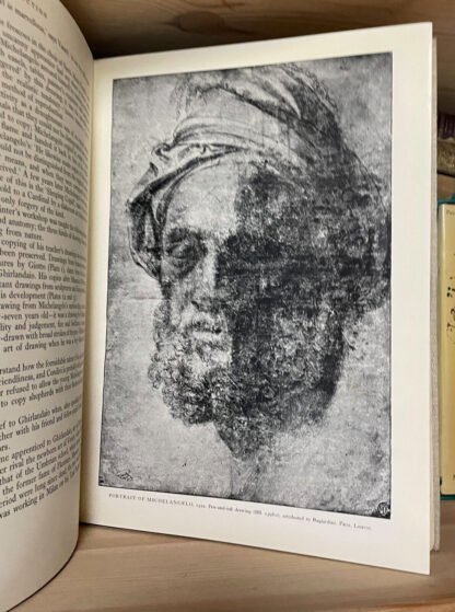 Michelangelo drawings‎ The Phaidon Press 1951 edizione inglese - immagine 8