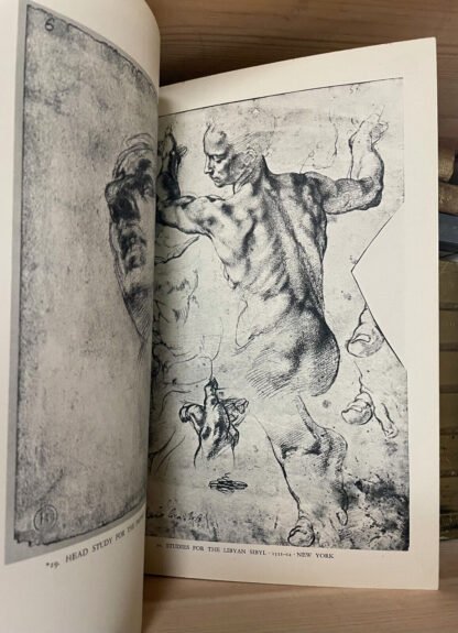 Michelangelo drawings‎ The Phaidon Press 1951 edizione inglese - immagine 9