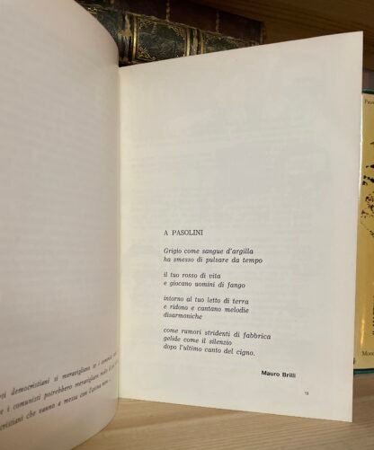 Pasolini Galleria d'Arte Il Babuino Roma 1979 libro-catalogo ed. numerata - immagine 6