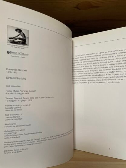 Domenico Rambelli Sintesi plastiche a cura di Lorenzo Canova catalogo 2009 - immagine 5